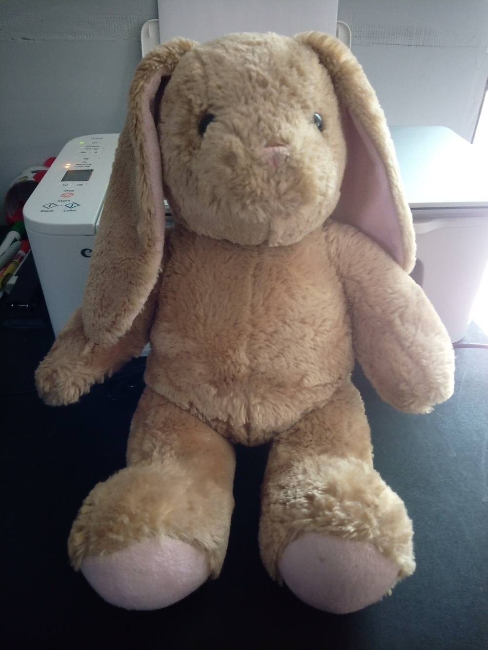 Build-A-Bear Tan Bunny Plush with Pink Ear and Paw Accents